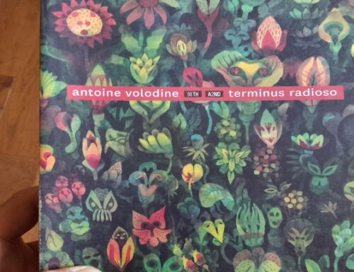 ELOGIO DEL CAMPO DI LAVORO. Antoine Volodine (da TERMINUS RADIOSO, Trad. Anna D’Elia)
