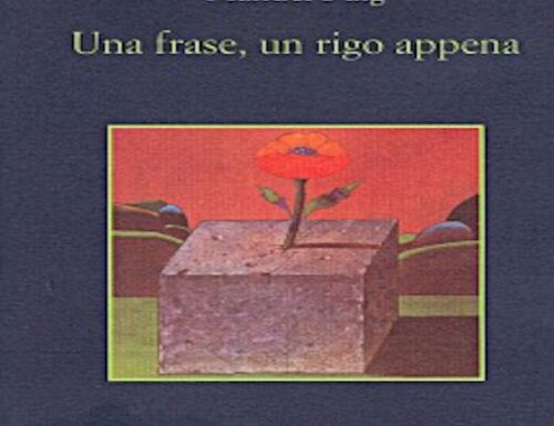 Una frase, un rigo appena. MANUEL PUIG  #Libri