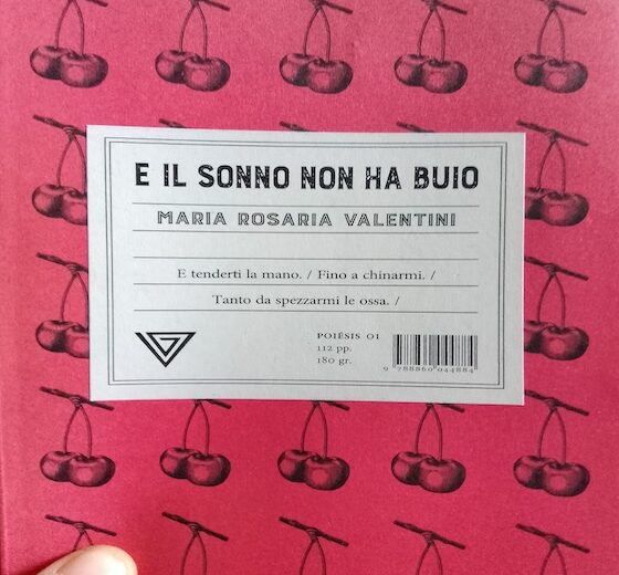 6 Poesie di MARIA ROSARIA VALENTINI (da E IL SONNO NON HA BUIO, Giulio Perrone Editore)